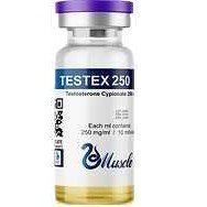 Testex 250 (Cipionato 250mg/10ml) Muscle Pharma