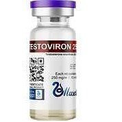 Testoviron 250 (Enantato 250mg/10ml) Muscle Pharma